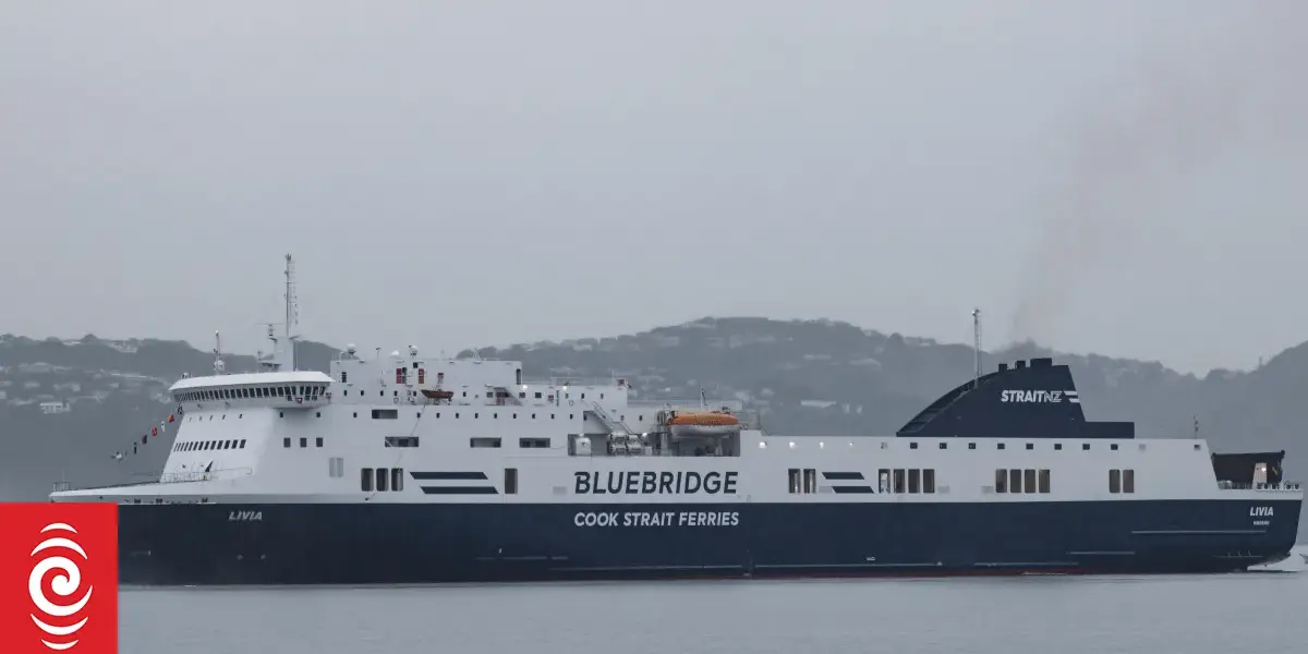 cook strait passenger rescue — NZ news