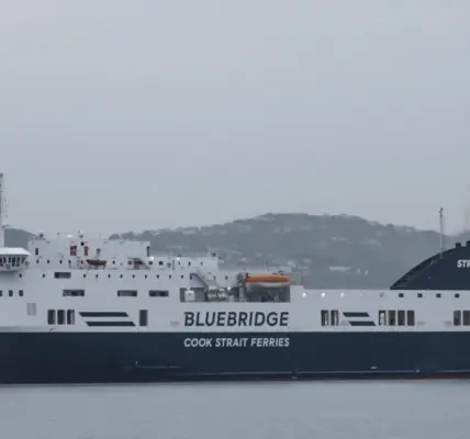 cook strait passenger rescue — NZ news