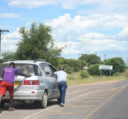 fuel crisis nz — NZ news