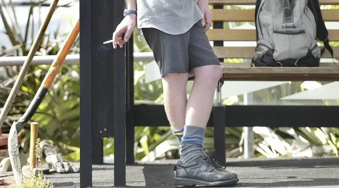 new zealand school truancy prosecution — NZ news