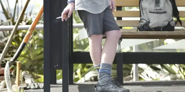 new zealand school truancy prosecution — NZ news