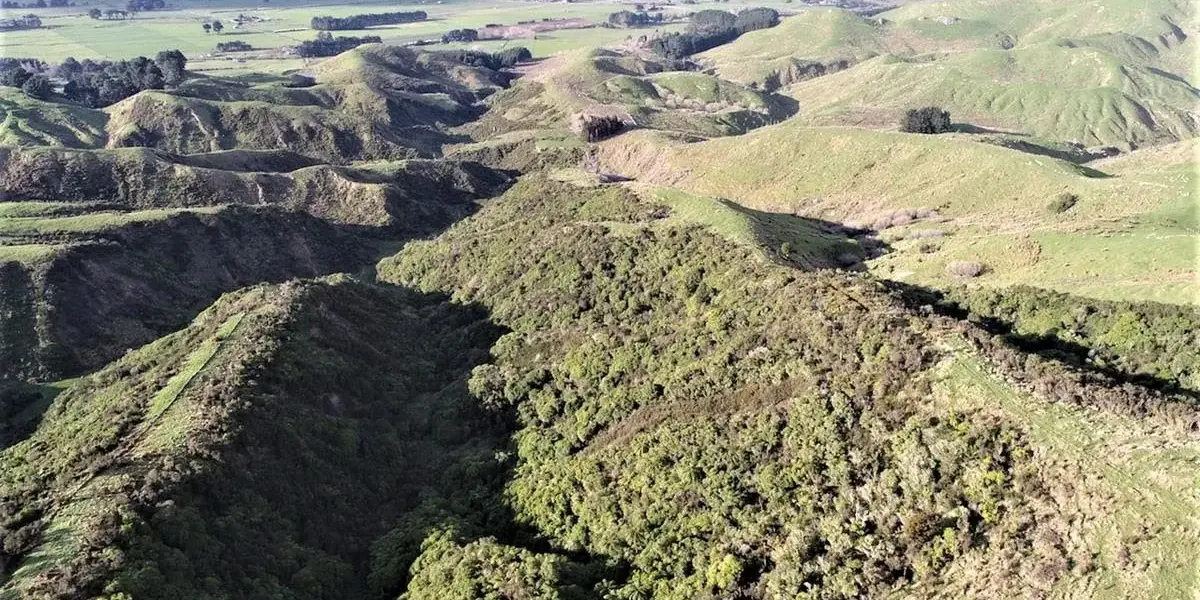 state highway 3 — NZ news