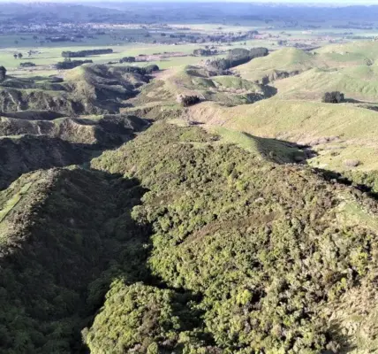 state highway 3 — NZ news