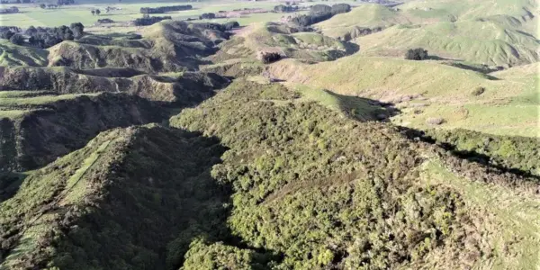 state highway 3 — NZ news