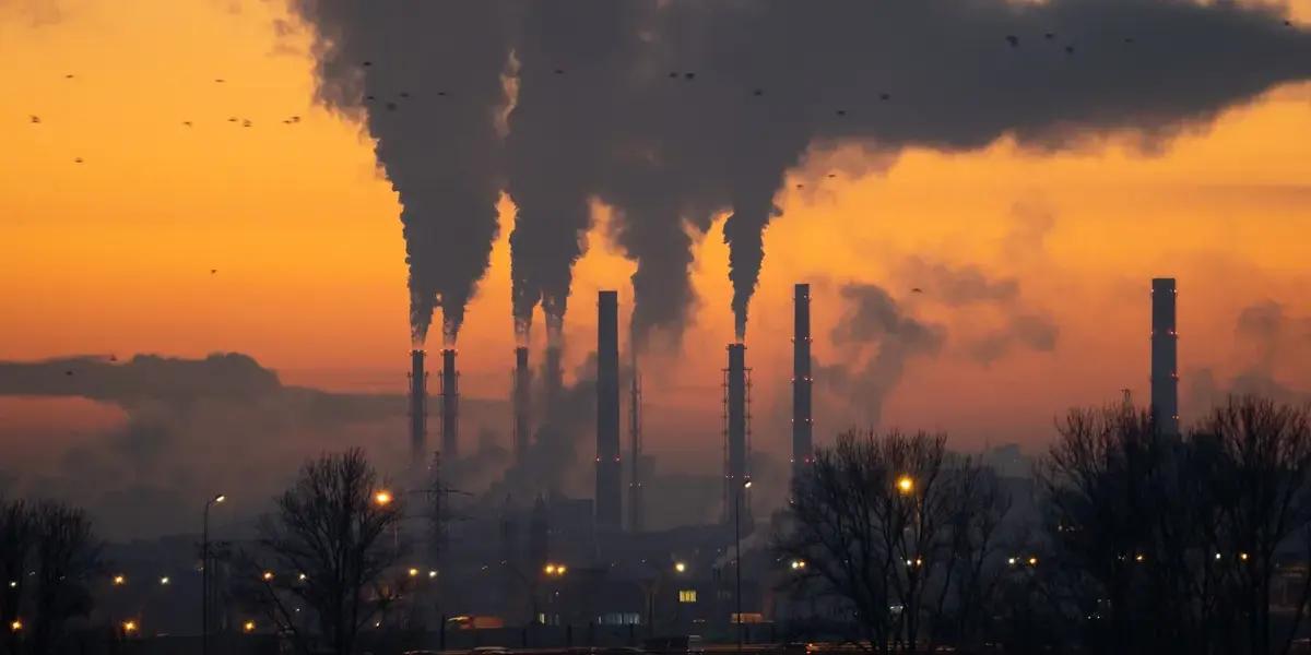 air pollution — NZ news