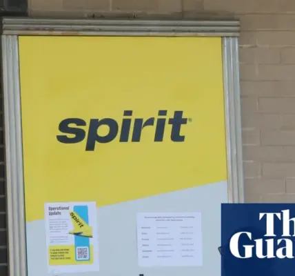 airline — NZ news