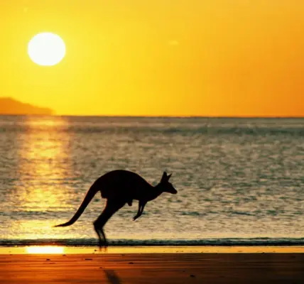 australia — NZ news