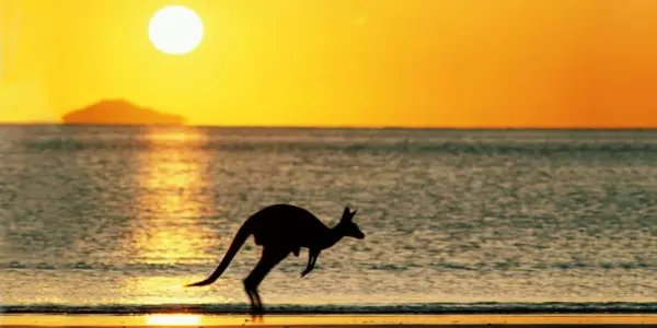 australia — NZ news