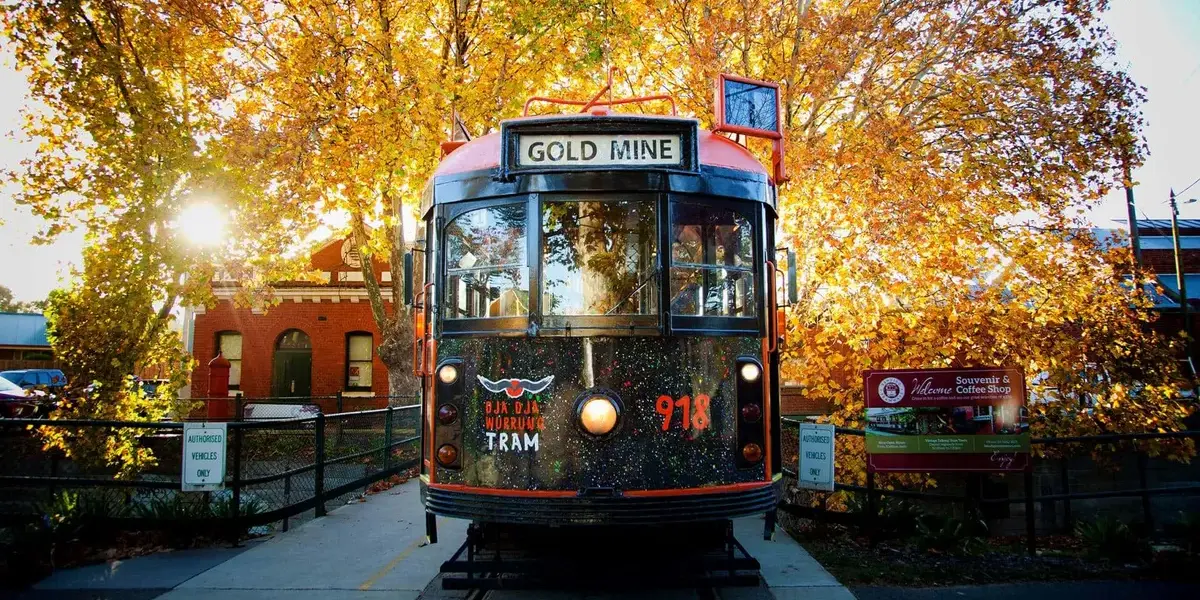 bendigo — NZ news