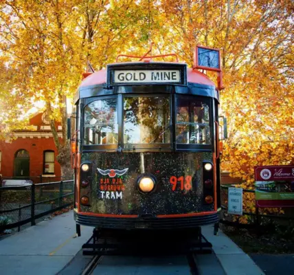 bendigo — NZ news