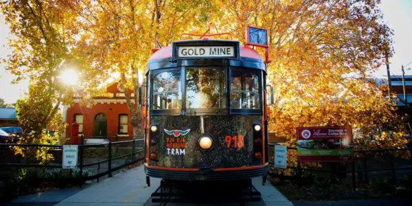 bendigo — NZ news