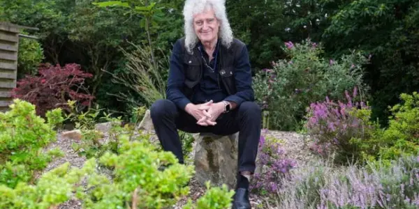 brian may daffodil planting ban — NZ news