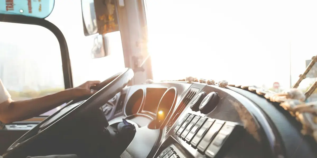 bus driver — NZ news