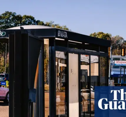 bus — NZ news