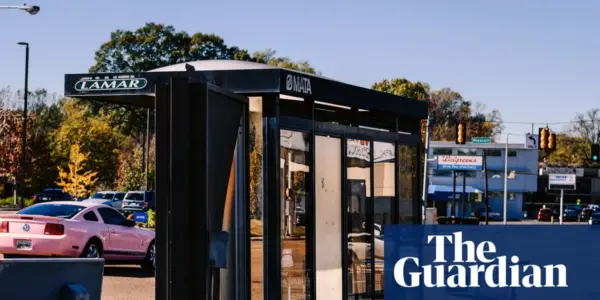 bus — NZ news