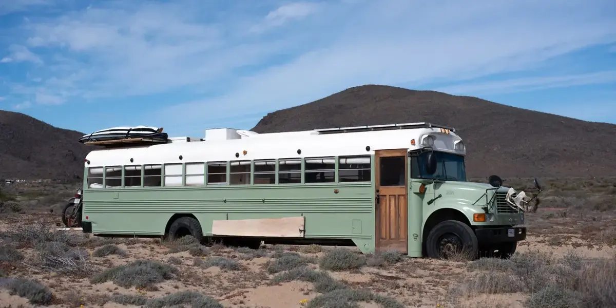 bus — NZ news