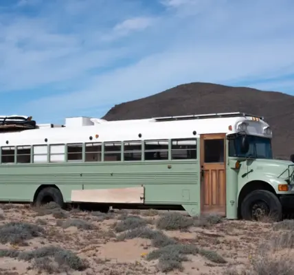 bus — NZ news
