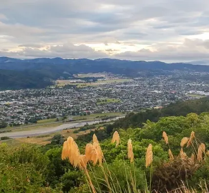 city — NZ news