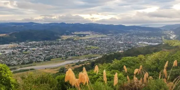city — NZ news