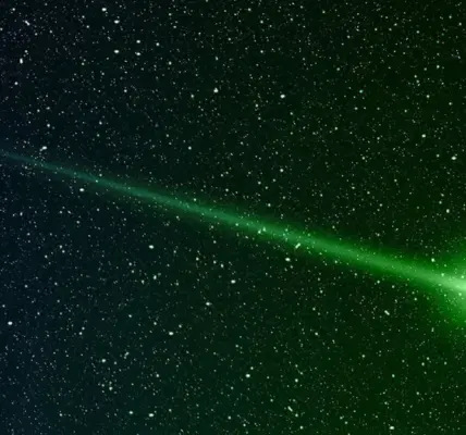 comet — NZ news