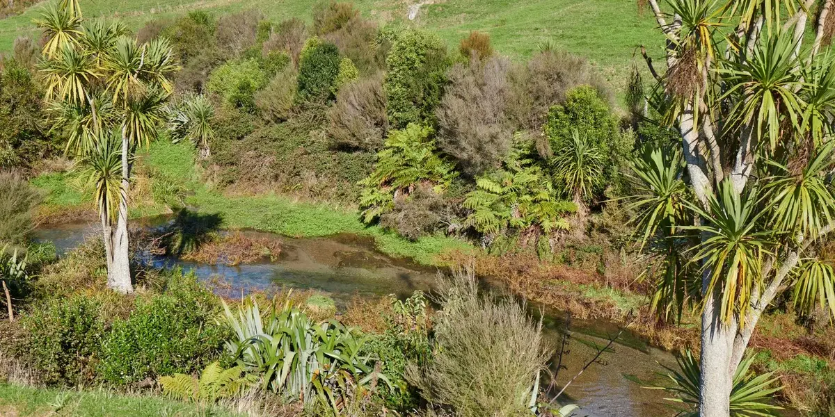 dairy farming — NZ news