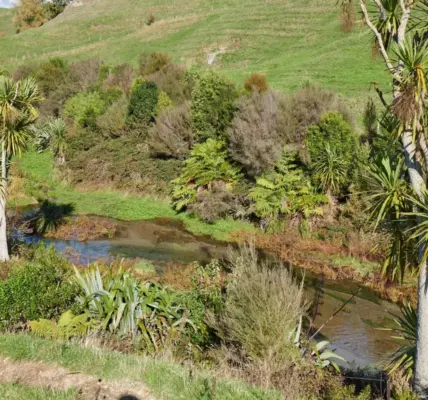 dairy farming — NZ news