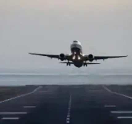 emergency landing — NZ news