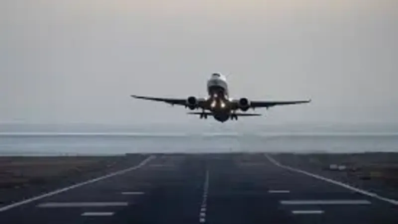 emergency landing — NZ news