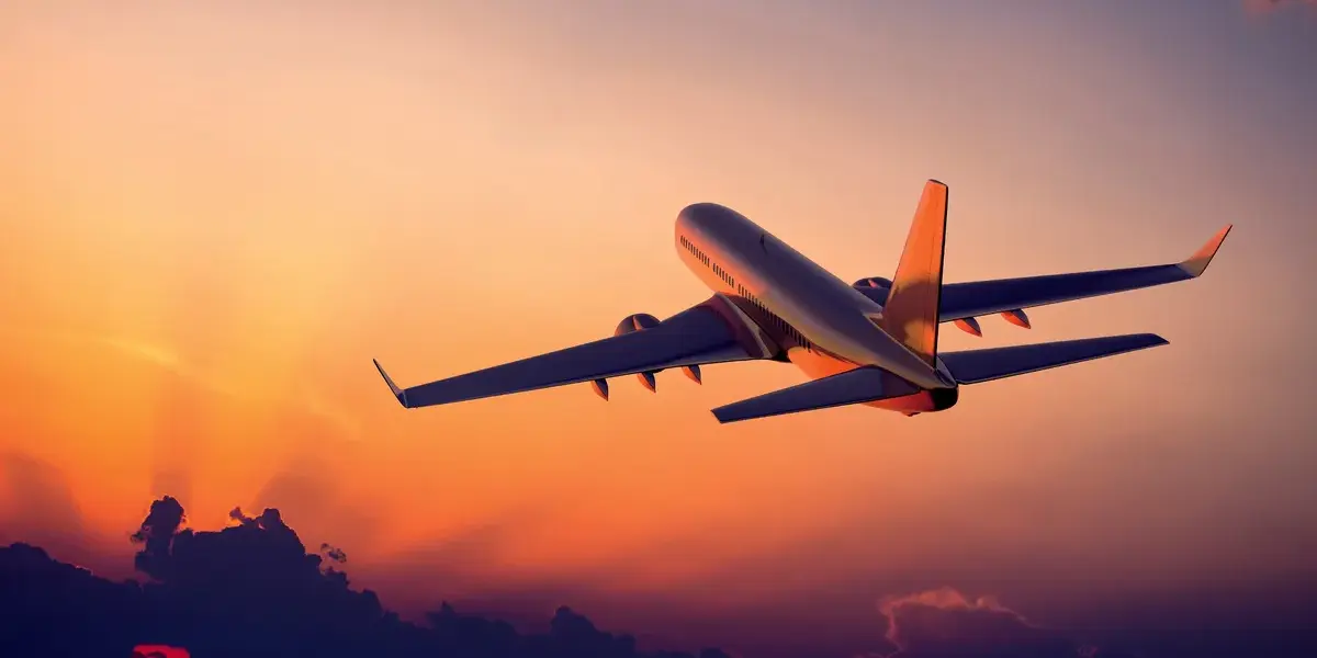 flight — NZ news