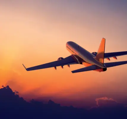 flight — NZ news