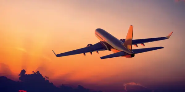 flight — NZ news