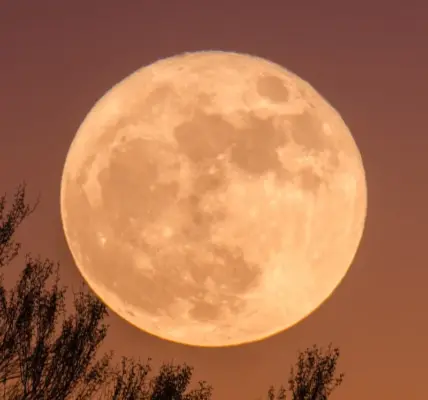 full moon may 2026 — NZ news