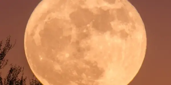 full moon may 2026 — NZ news