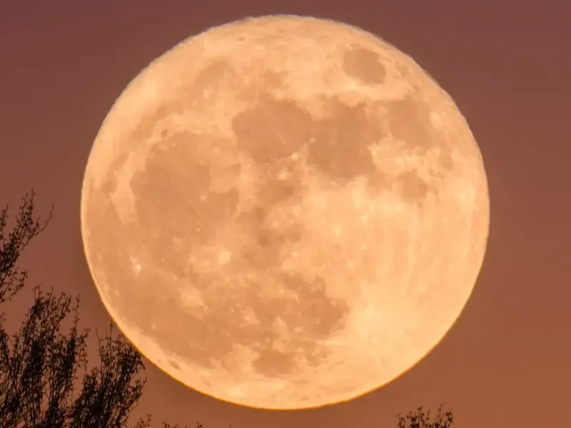 full moon may 2026 — NZ news