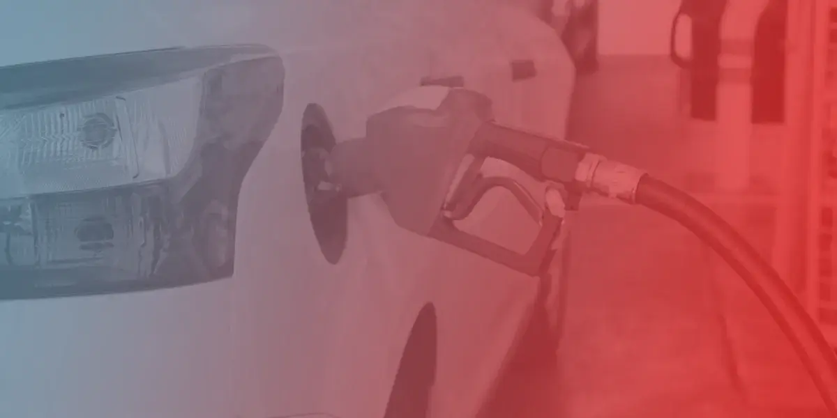 gasoline — NZ news
