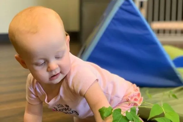 infant — NZ news