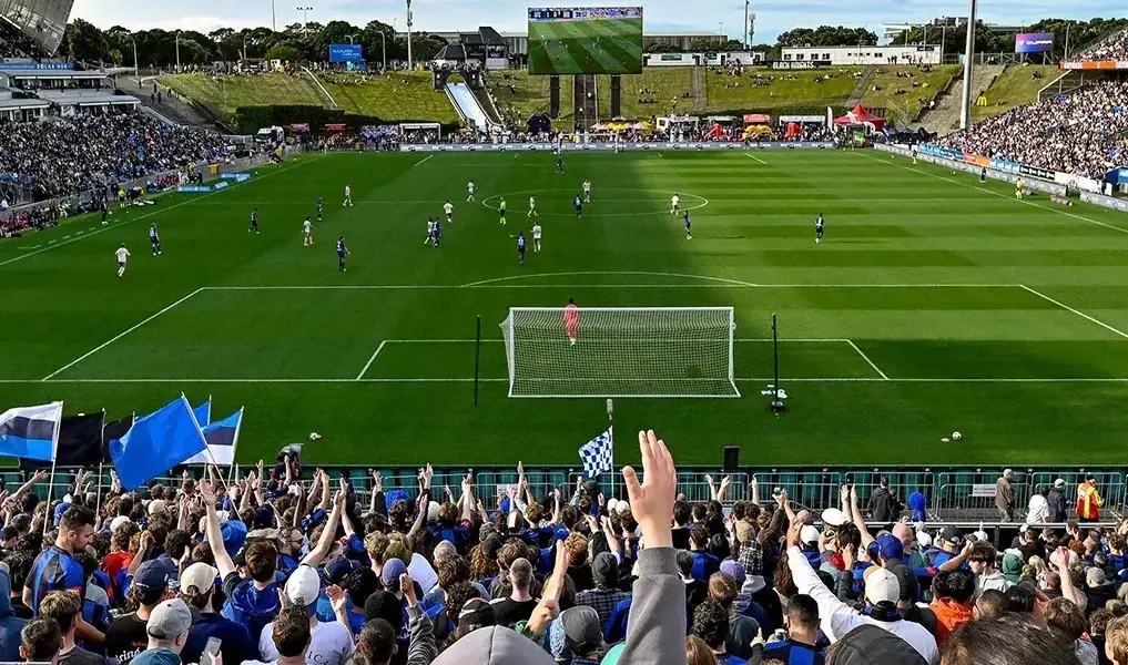 melbourne victory vs sydney fc — NZ news