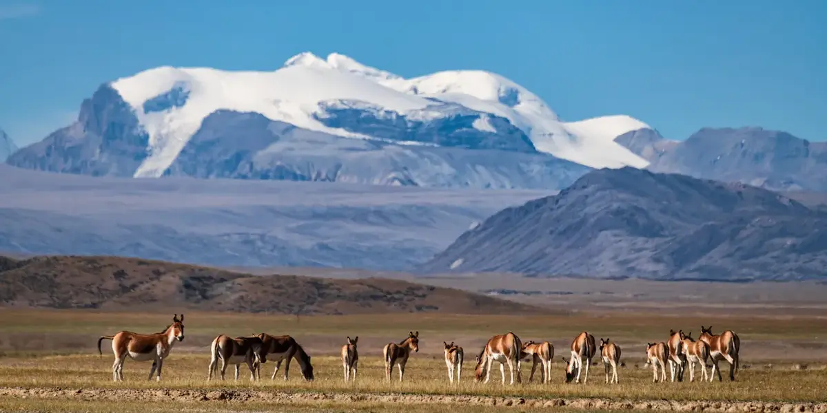 national park — NZ news