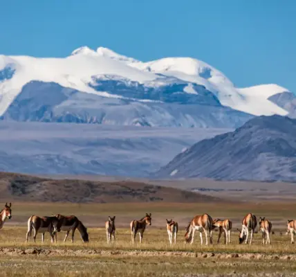 national park — NZ news