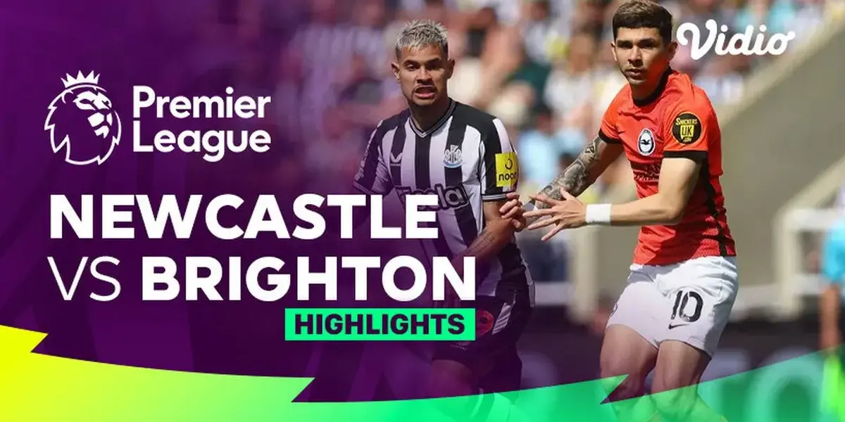 newcastle vs brighton — NZ news