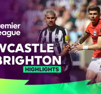newcastle vs brighton — NZ news