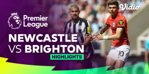 newcastle vs brighton — NZ news
