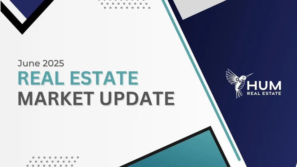 real estate market — NZ news