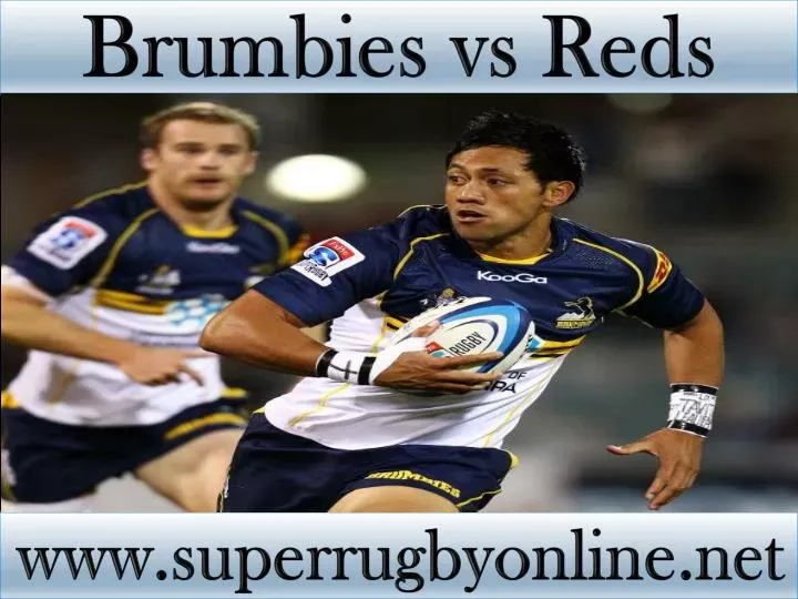 reds vs brumbies — NZ news