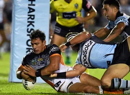 sharks vs wests tigers — NZ news