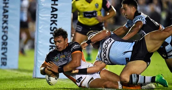 sharks vs wests tigers — NZ news
