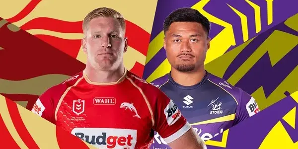 storm vs dolphins — NZ news